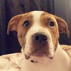 Meet your Posher, Gabrielle